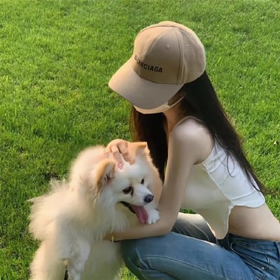 不死鸟之恋
