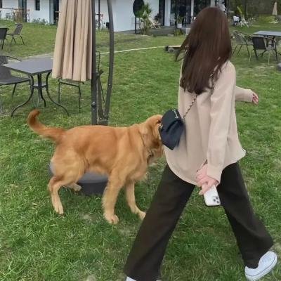 隐形人